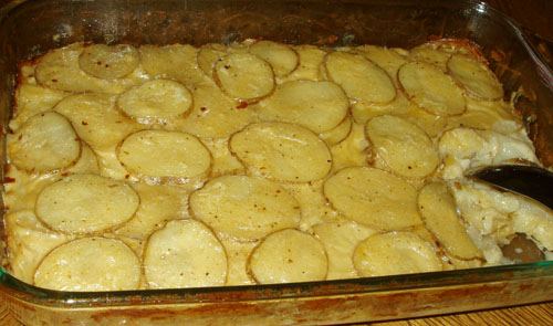 Scalloped potatoes in 9x13 dish